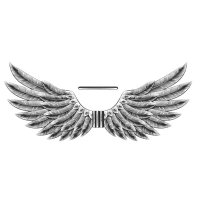Wings & Rings Media(@_wingsandrings_) 's Twitter Profile Photo