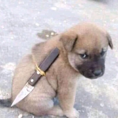 Geoboy106's profile picture. If you don't ask you don't get😎.. ***lover of crypto ***Entrepreneur Advocate