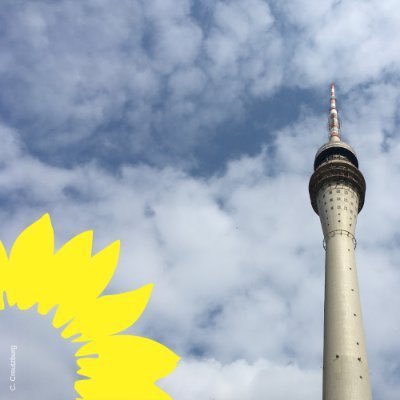 BündnisGRÜNE in Dresden-Loschwitz - Regionalgruppe Elbhang  (Titelbild David Brandt)