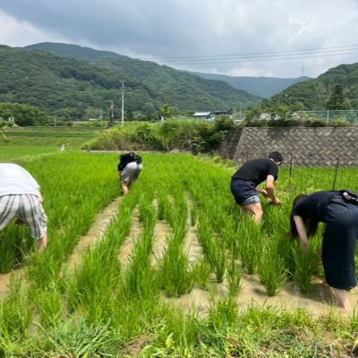 viajero_crypto's profile picture. 国内海外旅行好きです。農業したいです。　今日も楽しく過ごしています　よろしくお願いします