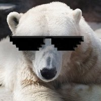 WhiteBear(@WhiteBearWhitey) 's Twitter Profile Photo