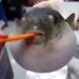 eughfish (@eughfish) Twitter profile photo eughfish (@eughfish) Twitter profile photo
