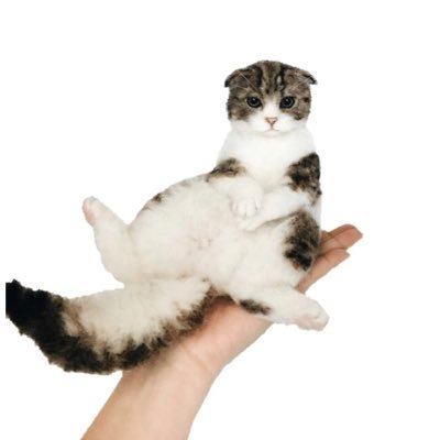 ヒナリ   羊毛フェルト猫のプロフィール写真