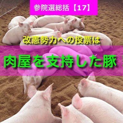 反日・売国政権がこの国を売り飛ばそうとしている！断じて阻止しなければならない！/れいわ新選組支持/野党共闘/政権交代/戦争反対/原発反対/日米合同委員会廃止/脱米国/WHO脱退/反新自由主義/反ワクチン/反グローバリスト/#名もなきツイデモ連盟🌟/無言フォロー失礼します/無言フォローお気軽にどうぞ