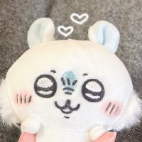 mizuki (@mizu_chiikawa) 's Twitter Profile Photo