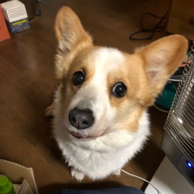 eri97806999's profile picture. 