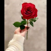 Khadija Alasfoor (@_khadija225) 's Twitter Profile