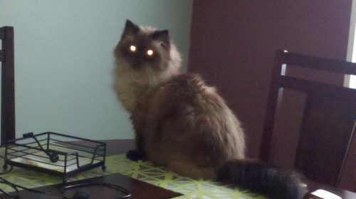 reasonrotten's profile picture. 