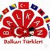 Rumeli Balkan Türkleri Platformu (@RumeliTurklerii) Twitter profile photo