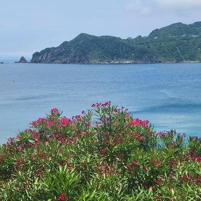 キャリーという一人バンドをやっています。フェイスブックhttps://t.co/KfU5CLQiDj連絡先cabee. 411@gmail .com https://t.co/po5AokBXDS