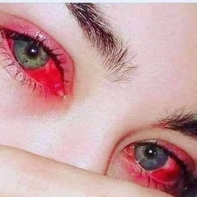 fastmai40839220's profile picture. 