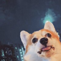La Fra (@noob_fra) 's Twitter Profile