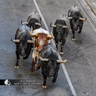 La mejor tarde? una de toros