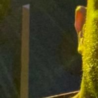 Siporim81's profile picture. 
