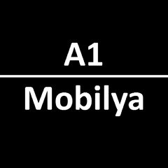 A1 Mobilya