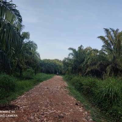 raul_echanove's profile picture. 