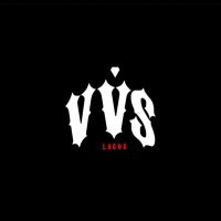 VVS Lagos(@vvslagos) 's Twitter Profile Photo
