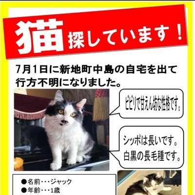 【猫探してます】
福島県相馬郡新地町で行方不明
白黒長毛種
少しでも情報がほしいです。
相互フォローでDMやり取りできます。
https://t.co/8nZdcP45Xl