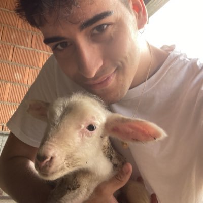 RaulBenitezCaro Profile Picture