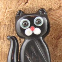 Catsme (@gizzymycat) 's Twitter Profile