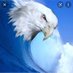Wings of an Eagle 🟧 (@BlueTsunami15) Twitter profile photo