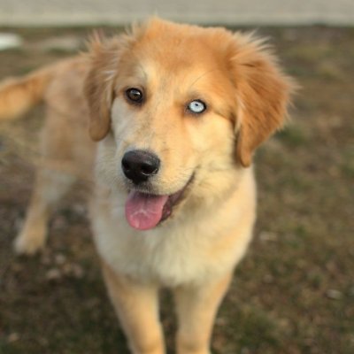 MjrichardTen's profile picture. 