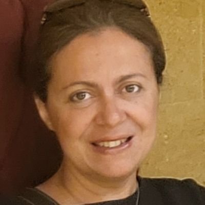 Heba Saleh Profile