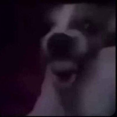 delstupiditoid's profile picture. adapt and conquer