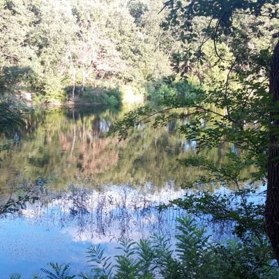 ertisofroni's profile picture. 