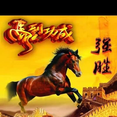 madaoch99090688's profile picture. 