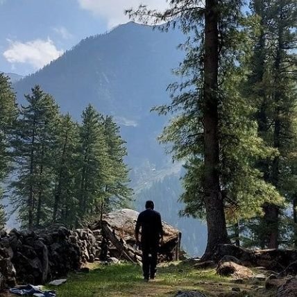 RudranshBharat's profile picture. ☀️