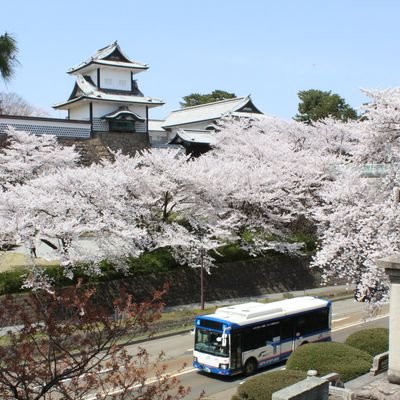 表向き
①路線バス&鉄道オタク
②バス運転士
③五箇山民謡を勉強中の歩く拡声器
裏向き
30㌢と50㌢の娘を持つアニメ好きオーナー(笑)そういえば最近まともな写真撮ってないなぁ...
フォロー&発言はご自由に。マメに反応できる時とできない時がありますが仕事柄ですので悪しからず(_ _)