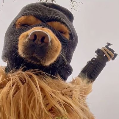 KIKHCZ's profile picture. 我就是我，不一样的烟火