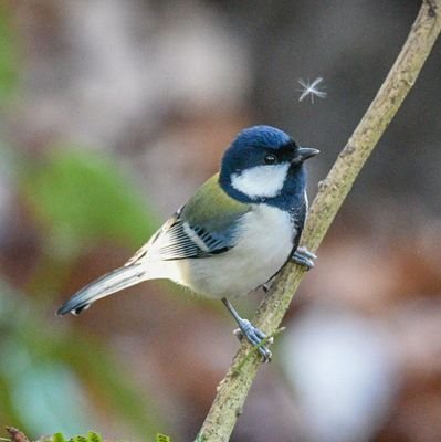 デリカミニとグロムに乗り〼。盆栽の4Lモンキー🐒
競馬とサウナを嗜む野鳥撮影趣味のアル中☄️💖🙏