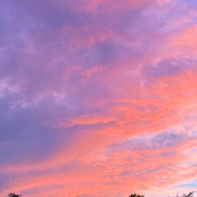 bluebrryovrdose's profile picture. 