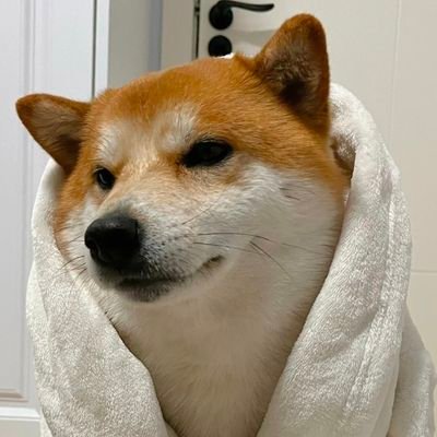 Traveler001001's profile picture. 关注自己