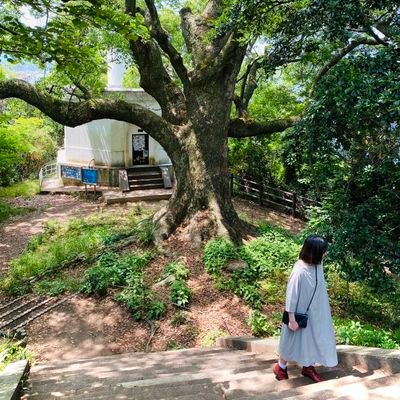 トゥモローズ🌱広島