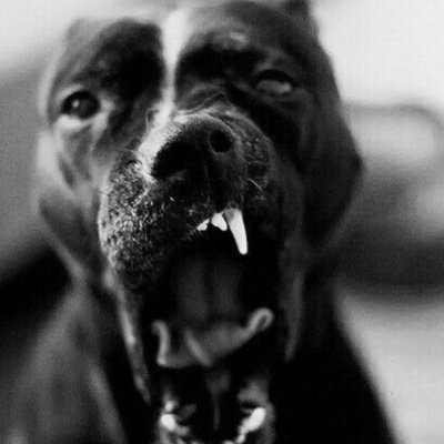 BlendsMobile's profile picture. F/A 
23🇬🇷 Former @SNG_Esports
https://t.co/YH95ne3D9O