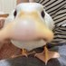 cuak (@arrossalforn) Twitter profile photo cuak (@arrossalforn) Twitter profile photo
