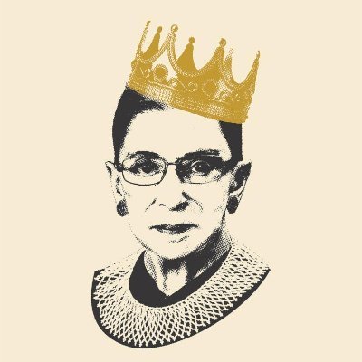 #RuthSentUs to troll the trolls in the land of the somewhat free. Ruth Sent Us enjoys birdwatching elected leaders and supporting equal access to healthcare.