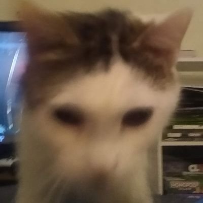 _Tman115_'s profile picture. 🤘