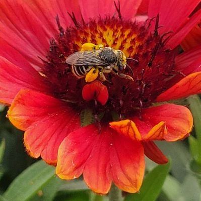 Tinaforster3's profile picture.
