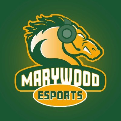 The official Twitter account for Marywood University Esports!

Rocket League | Overwatch | League of Legends | Valorant | SSBU