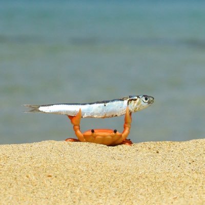 triplefatgooz's profile picture. 