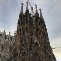 Reza (@reza4768) 's Twitter Profile