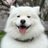 GilOverUnder's profile image