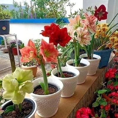 YmVnQf0nAI83Gwo's profile picture. ‏‏‏‏‏‏اجتماعي