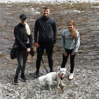 Jimmy McNeil (@jimmymac0110) 's Twitter Profile Photo