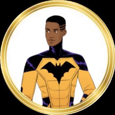 Ex-Leader of the we are Robin movement, current daytime protector of Gotham. DM’s open