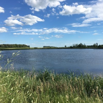 MankatoLoyola's profile picture. 6th-12th grade principal at Mankato Loyola